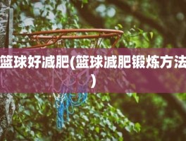 篮球好减肥(篮球减肥锻炼方法)