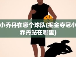 小乔丹在哪个球队(掘金夺冠小乔丹站在哪里)