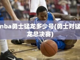 nba勇士猛龙多少号(勇士对猛龙总决赛)