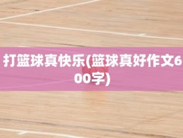 打篮球真快乐(篮球真好作文600字)