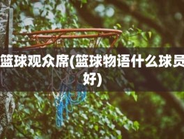 篮球观众席(篮球物语什么球员好)