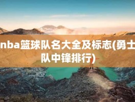 nba篮球队名大全及标志(勇士队中锋排行)