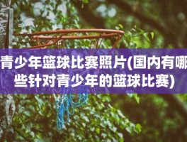 青少年篮球比赛照片(国内有哪些针对青少年的篮球比赛)