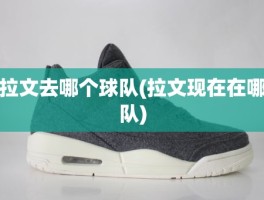 拉文去哪个球队(拉文现在在哪队)