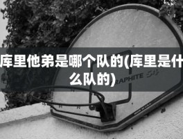 库里他弟是哪个队的(库里是什么队的)