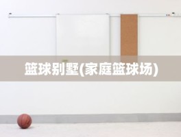 篮球别墅(家庭篮球场)