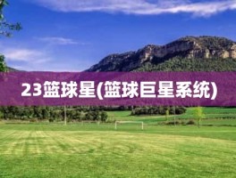 23篮球星(篮球巨星系统)