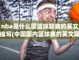 nba是什么国篮球联赛的英文缩写(中国国内篮球赛的英文简称)