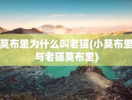 莫布里为什么叫老猫(小莫布里与老猫莫布里)