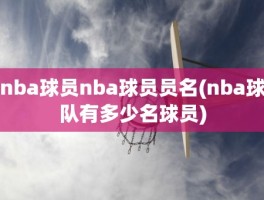 nba球员nba球员员名(nba球队有多少名球员)