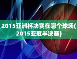 2015亚洲杯决赛在哪个球场(2015亚冠半决赛)