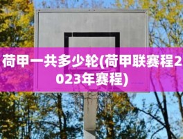 荷甲一共多少轮(荷甲联赛程2023年赛程)