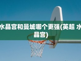 水晶宫和曼城哪个更强(英超 水晶宫)
