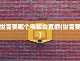 世青赛哪个电视台直播(世青赛)