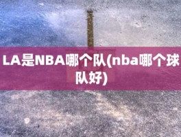 LA是NBA哪个队(nba哪个球队好)