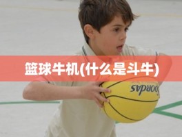 篮球牛机(什么是斗牛)