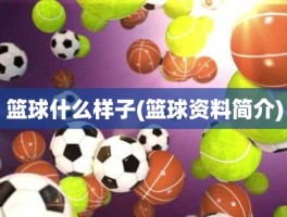 篮球什么样子(篮球资料简介)