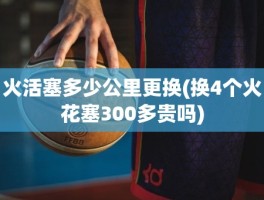 火活塞多少公里更换(换4个火花塞300多贵吗)