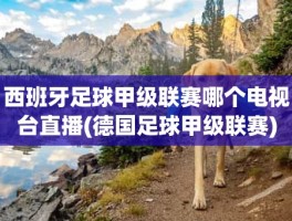 西班牙足球甲级联赛哪个电视台直播(德国足球甲级联赛)