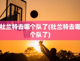 杜兰特去哪个队了(杜兰特去哪个队了)