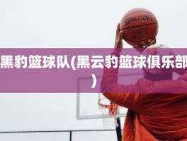 黑豹篮球队(黑云豹篮球俱乐部)