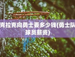克拉克向勇士要多少钱(勇士队球员薪资)