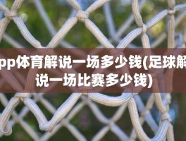 pp体育解说一场多少钱(足球解说一场比赛多少钱)