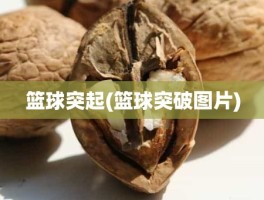 篮球突起(篮球突破图片)