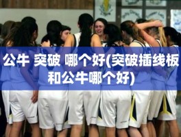 公牛 突破 哪个好(突破插线板和公牛哪个好)