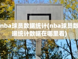 nba球员数据统计(nba球员数据统计数据在哪里看)