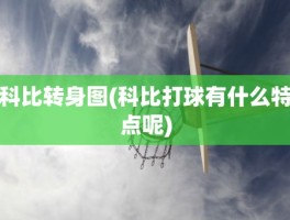 科比转身图(科比打球有什么特点呢)