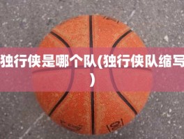 独行侠是哪个队(独行侠队缩写)