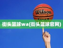 街头篮球wa(街头篮球官网)