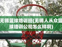 无锡篮球培训班(无锡人从众篮球培训公司怎么样啊)