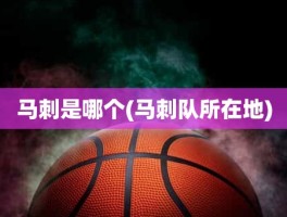 马刺是哪个(马刺队所在地)