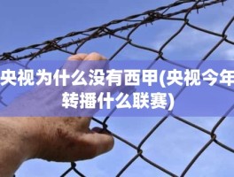 央视为什么没有西甲(央视今年转播什么联赛)