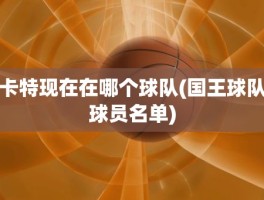 卡特现在在哪个球队(国王球队球员名单)