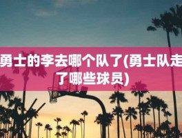 勇士的李去哪个队了(勇士队走了哪些球员)
