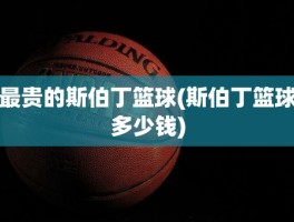 最贵的斯伯丁篮球(斯伯丁篮球多少钱)