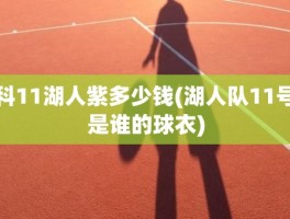 科11湖人紫多少钱(湖人队11号是谁的球衣)