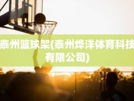 泰州篮球架(泰州烨洋体育科技有限公司)