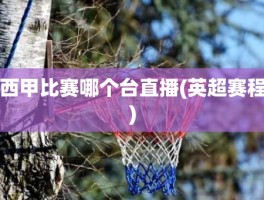 西甲比赛哪个台直播(英超赛程)