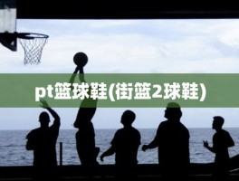 pt篮球鞋(街篮2球鞋)