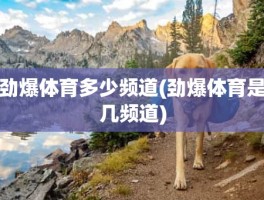 劲爆体育多少频道(劲爆体育是几频道)