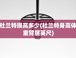 杜兰特摸高多少(杜兰特身高体重臂展英尺)