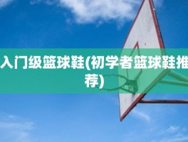 入门级篮球鞋(初学者篮球鞋推荐)