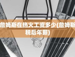 詹姆斯在热火工资多少(詹姆斯税后年薪)