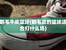 翻毛牛皮篮球(翻毛皮的篮球适合打什么场)