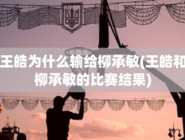王皓为什么输给柳承敏(王皓和柳承敏的比赛结果)
