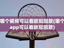 哪个视频可以看欧冠回放(哪个app可以看欧冠回放)
